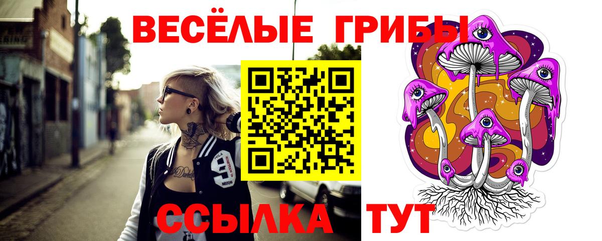 Озёрск  купить наркоту  Вход с VPN  Псилоцибиновые грибы Magic Shrooms  Галлюциногенные грибы Psilocybine cubensis 