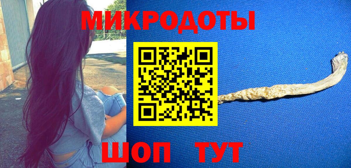 Галлюциногенные грибы Psilocybe Озёрск